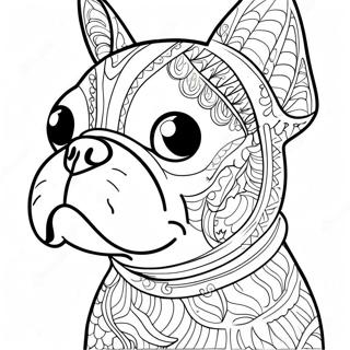 Selida Zographikes Tou Boston Terrier 105637-43187