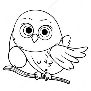 Selida Zographikes Hedwig Me Epistole 105873 43375