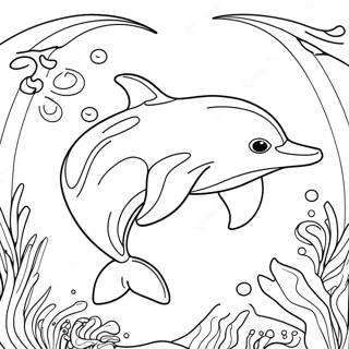 Selida Zographikes Megaloprepes Delphini Kolumpaei 114503-50308