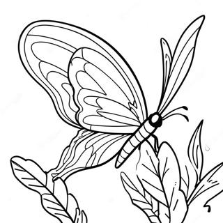 Selida Zographikes Me Petalouda Silkwing 138131-69530