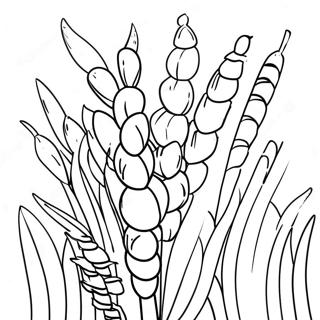 Khromatistes Oures Gaton Selida Zographikes 19260-4202