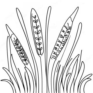 Khromatistes Oures Gaton Selida Zographikes 19260-4204