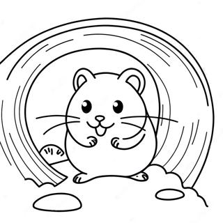 Paikhnidiarikos Khamster Se Tounel Selida Zographikes 31648-6906