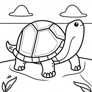 Kinoumene Khelona Sten Paralia Selida Zographikes 7846-2751