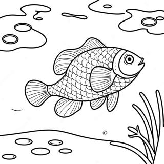 Zographike Selida Polukhromon Psarion Tes Limnes 82111-23682