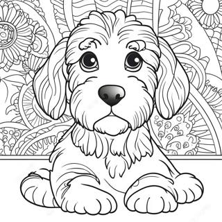 Selida Zographikes Goldendoodle 85517-26448