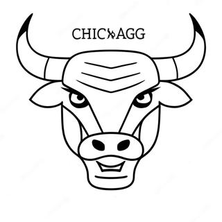 Selida Zographikes Chicago Bulls 91276-31163