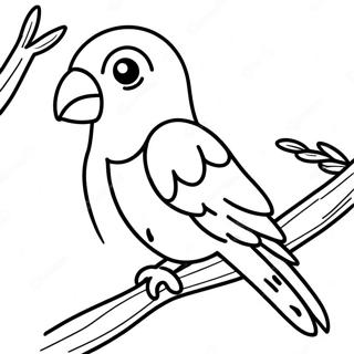 Khromatiste Selida Zographikes Papagalou Pou Kathetai Se Kladi 92480-32105