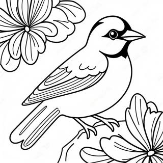 Οριόλες Coloring Pages